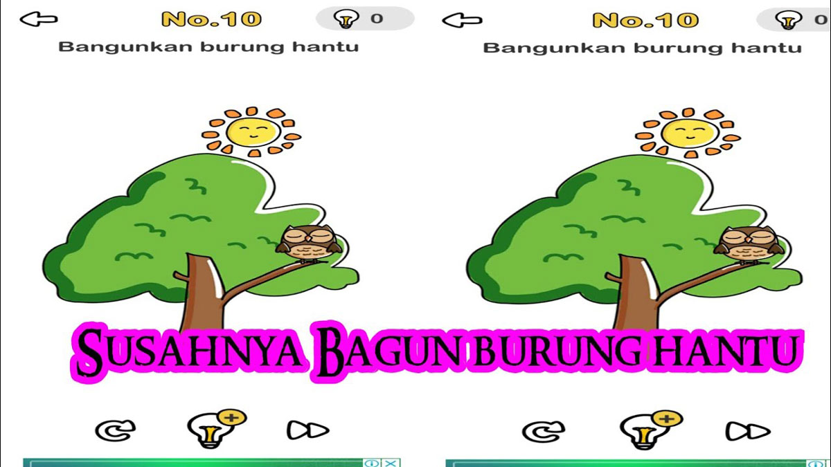 Cara Membangunkan Burung Hantu di Game Brain Out 1 Cara Membangunkan Burung Hantu di Game Brain Out